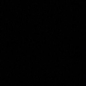 Meet your Posher, Leigha